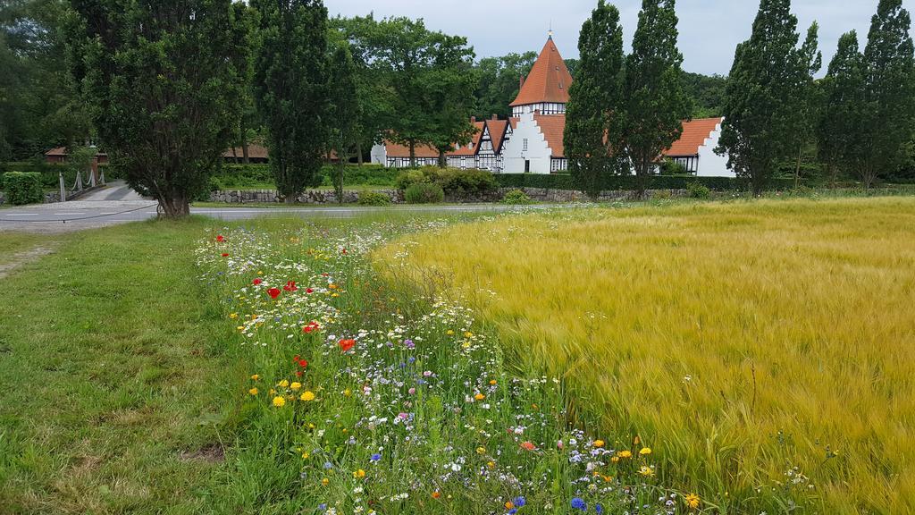 Nabolos Rooms Bovense Экстерьер фото
